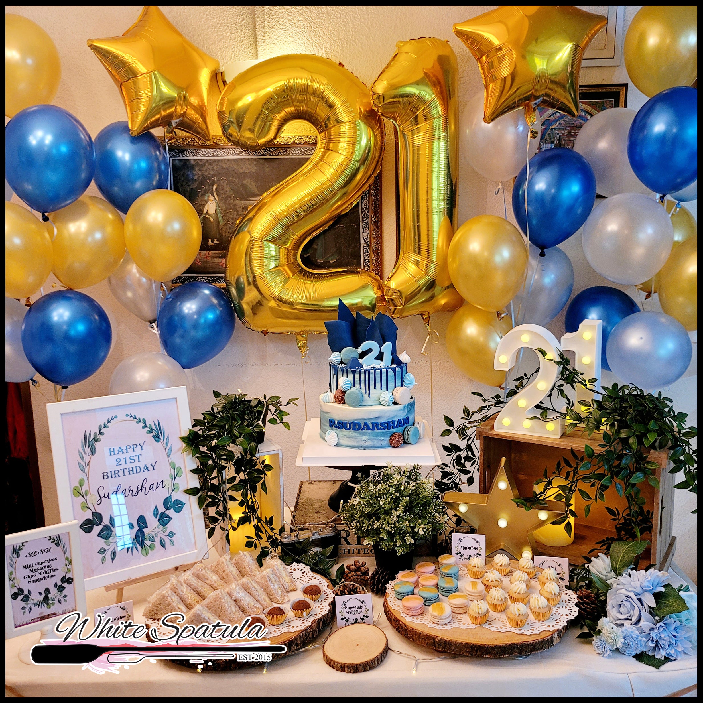 Tiktok Theme For 21st Birthday Party Boy Birthday Decor 21st