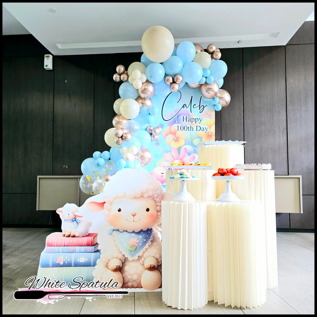 Single Panel Package (Boy)