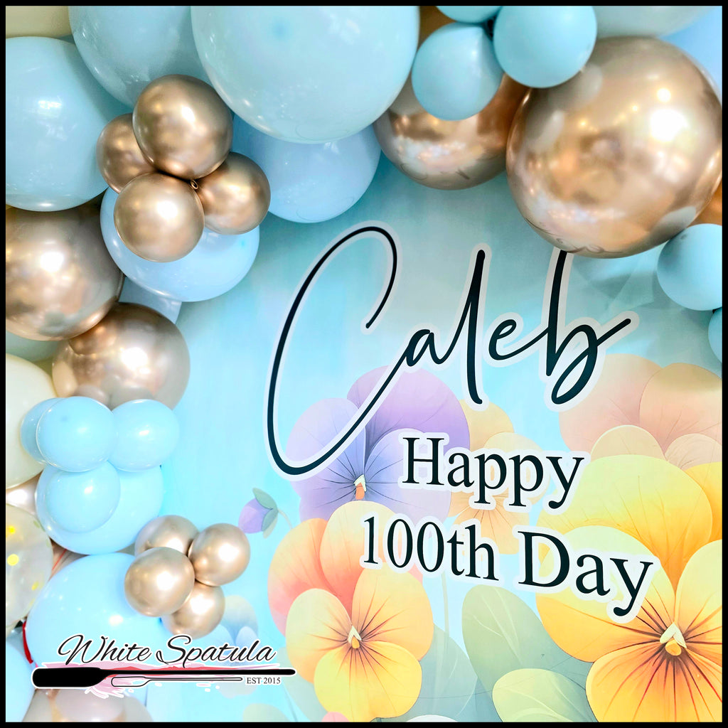 Single Panel Package (Boy)