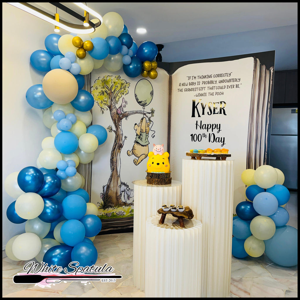 Dual Panel Package (Boy)