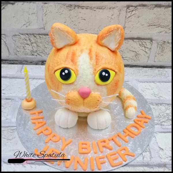 Golden Cat Pinata Surprise Cake